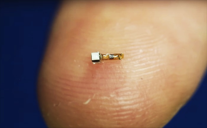 Ερευνητές έφτιαξαν τσιπάκι σε μέγεθος κόκκου άμμου και του έβαλαν φτερά (βίντεο)