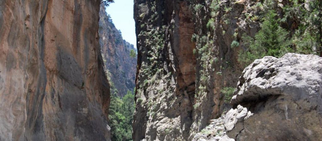 Φθιώτιδα: Νεαροί εγκλωβίστηκαν σε φαράγγι – Συναγερμός στην Πυροσβεστική