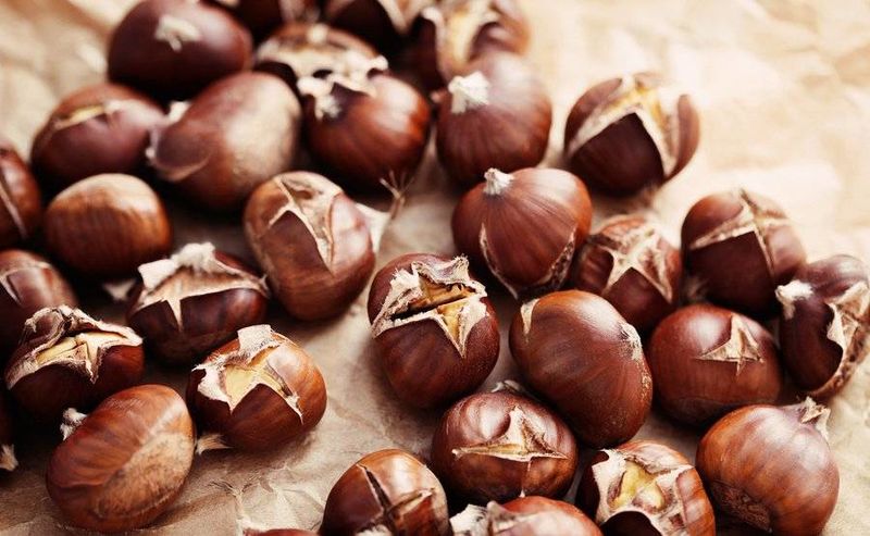Κάστανα: Οφέλη για την υγεία και τι πρέπει να προσέχετε