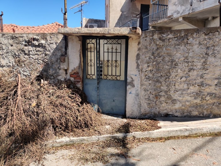 Έγκλημα στην Κυπαρισσία: Η απολογία τού συντρόφου της Μόνικα -«Ήμουν ερωτευμένος και θέλαμε να παντρευτούμε»