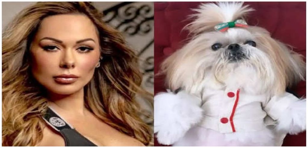 Μοντέλο του playboy «έγραψε» στον… σκύλο της περιουσία αξίας 2 εκατομμυρίων!