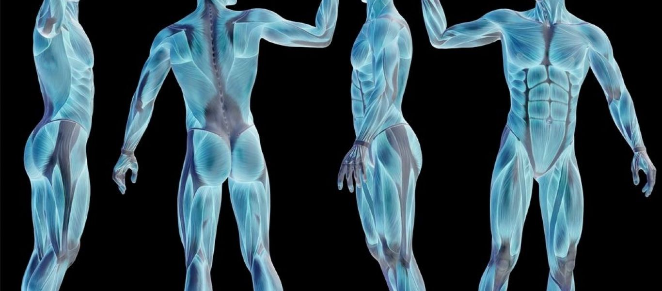Προσοχή: Αυτό είναι το σημείο του σώματός μας που λέει πόσα χρόνια θα ζήσουμε!