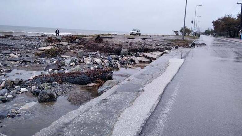 Λάρισα: Σοβαρές ζημιές από την κακοκαιρία «Αθηνά» στον δήμο Αγιάς