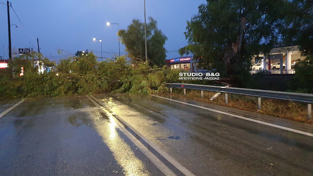 Κακοκαιρία «Αθηνά»: Ο αέρας ξήλωσε καλώδια της ΔΕΗ στην Αργολίδα – Τρομακτικές εικόνες (βίντεο)