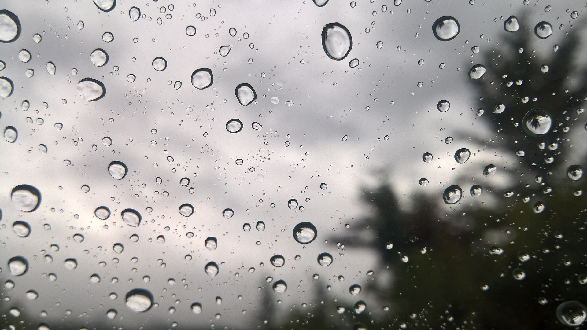 Σάκης Αρναούτογλου: «Ασύλληπτα ύψη βροχής σημειώθηκαν τα τελευταία 24ωρα στην περιοχή του Πηλίου»