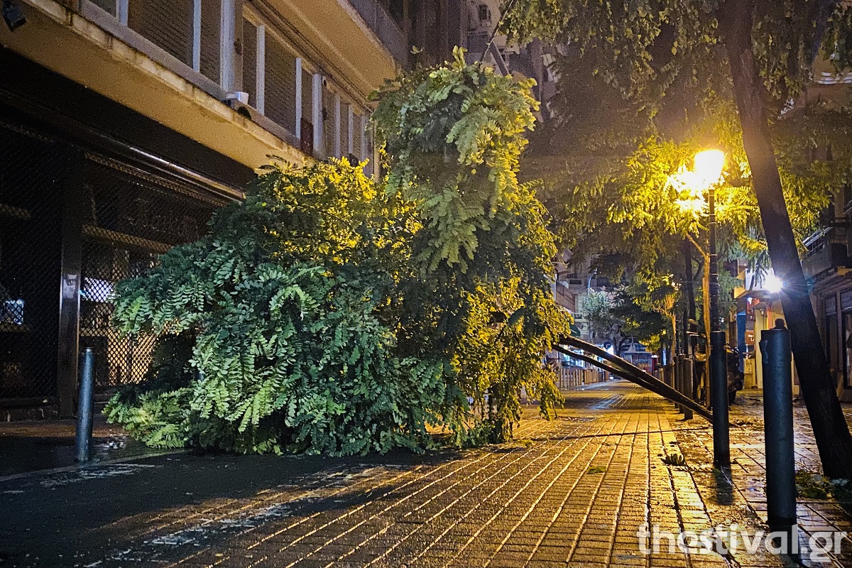 Θεσσαλονίκη: Πτώσεις δέντρων από τους ισχυρούς ανέμους της κακοκαιρίας «Αθηνά»