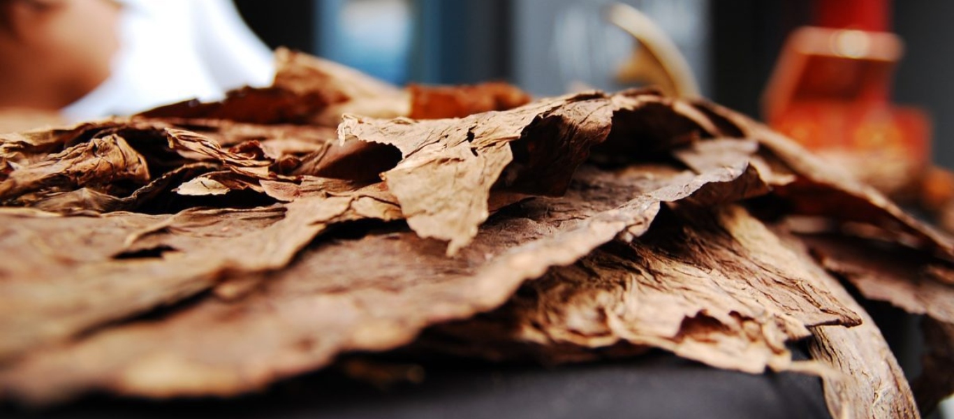 Η αρχαιότερη χρήση καπνού στον κόσμο πριν από 12.300 χρόνια στη Β.Αμερική