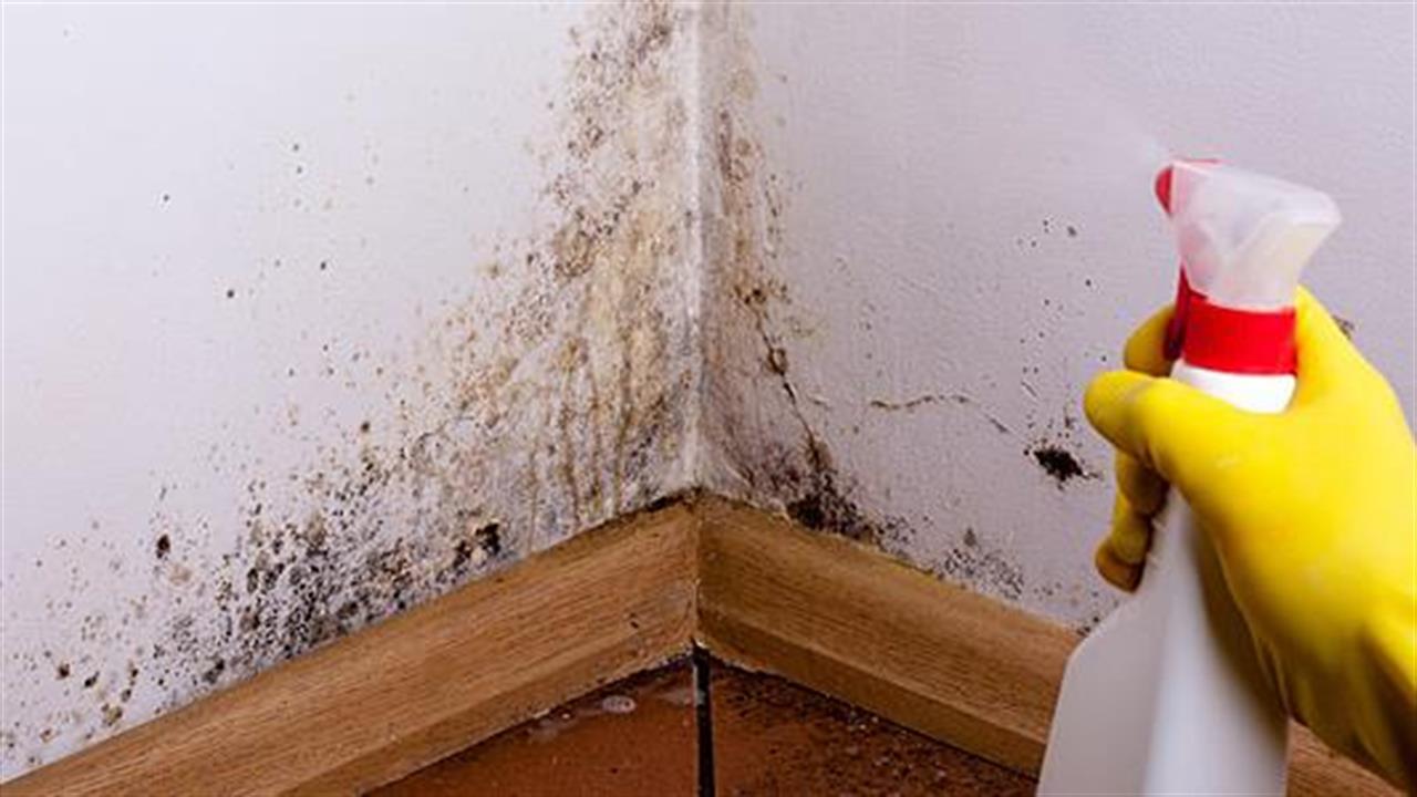 Το κόλπο για να καθαρίσεις τη μούχλα εύκολα και γρήγορα