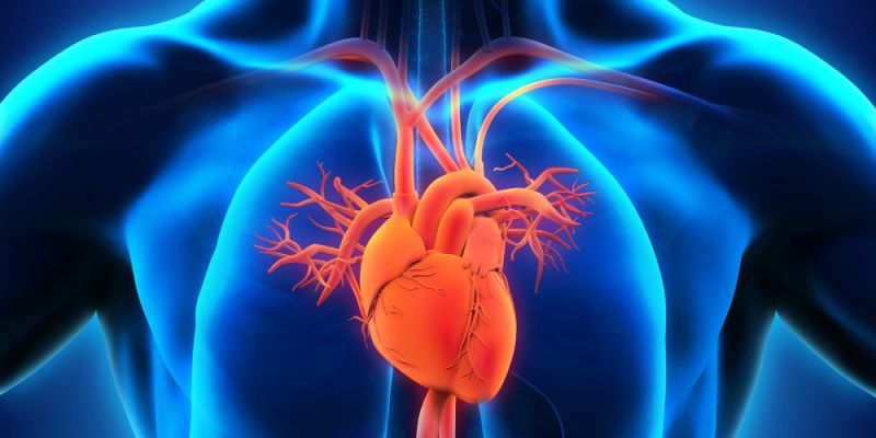 Καρδιαγγειακά: Η διατροφή που μειώνει τον κίνδυνο κατά 25%