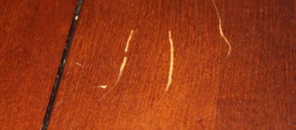 Γρατσουνιές σε ξύλινα έπιπλα; – Ο απίστευτος τρόπος για να τις εξαφανίσετε