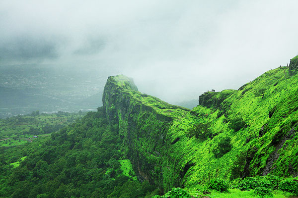 Εντυπωσιακό τοπίο: Όλες οι αποχρώσεις του πράσινου σε ένα βουνό! (φωτο)