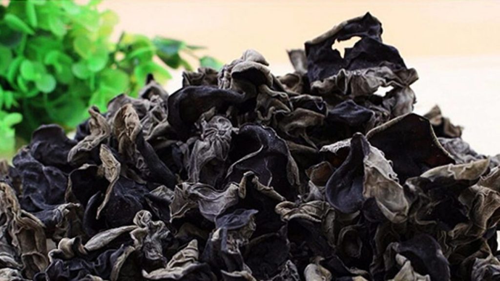 Αυτά είναι τα 5 οφέλη που έχουν για την υγεία τα μαύρα μανιτάρια