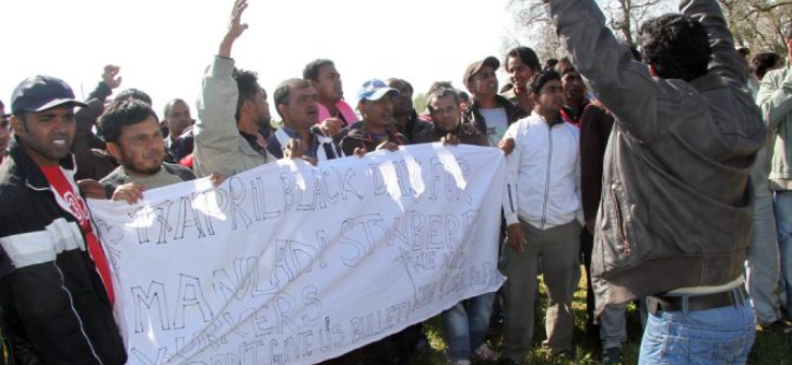 Διαμαρτυρίες ξένων εργατών γης σε Ηλεία και Αχαϊα