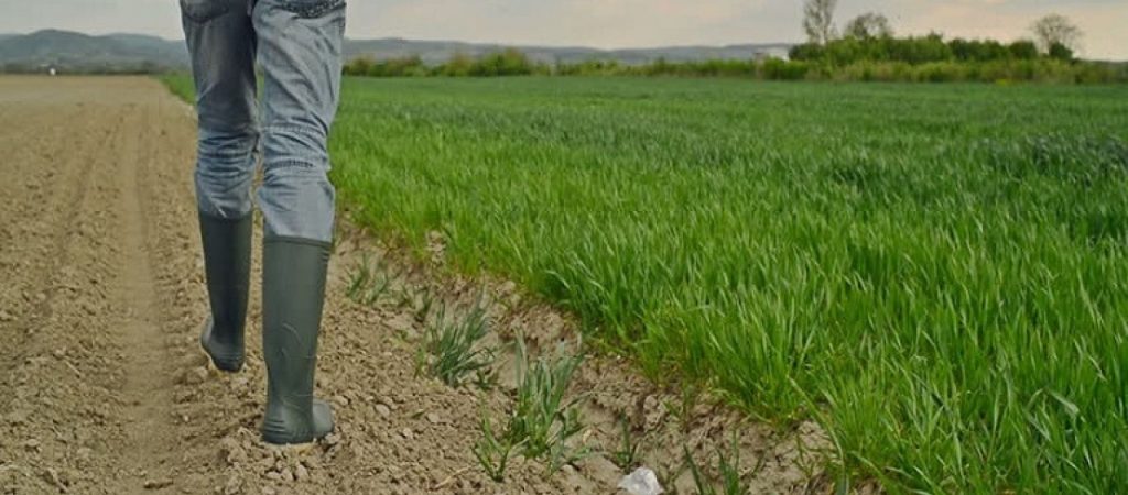 Ξεκινούν οι αιτήσεις για τις «κορωνοενισχύσεις» – Ποιοι είναι οι δικαιούχοι