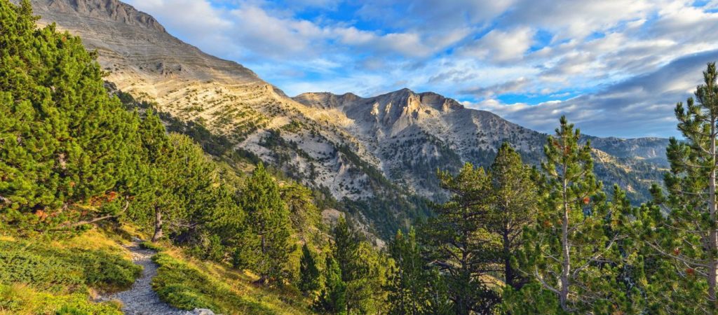Επιχείρηση της Πυροσβεστικής στον Όλυμπο – Τραυματίστηκε στο πόδι ορειβάτης