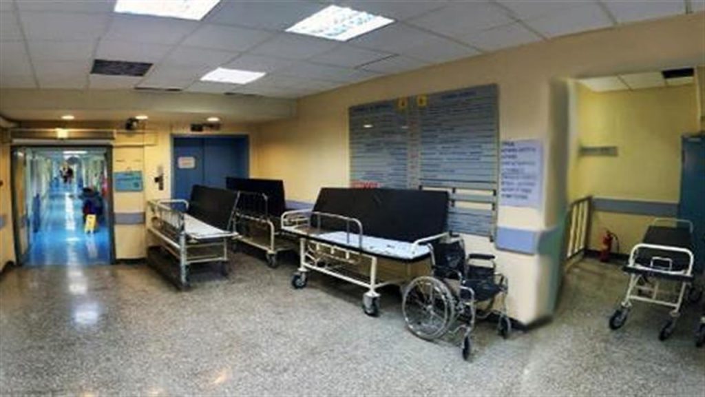 Απίστευτες εικόνες στα νοσοκομεία  της χώρας: Γάτες βολτάρουν ανενόχλητες ανάμεσα σε ασθενείς (βίντεο)
