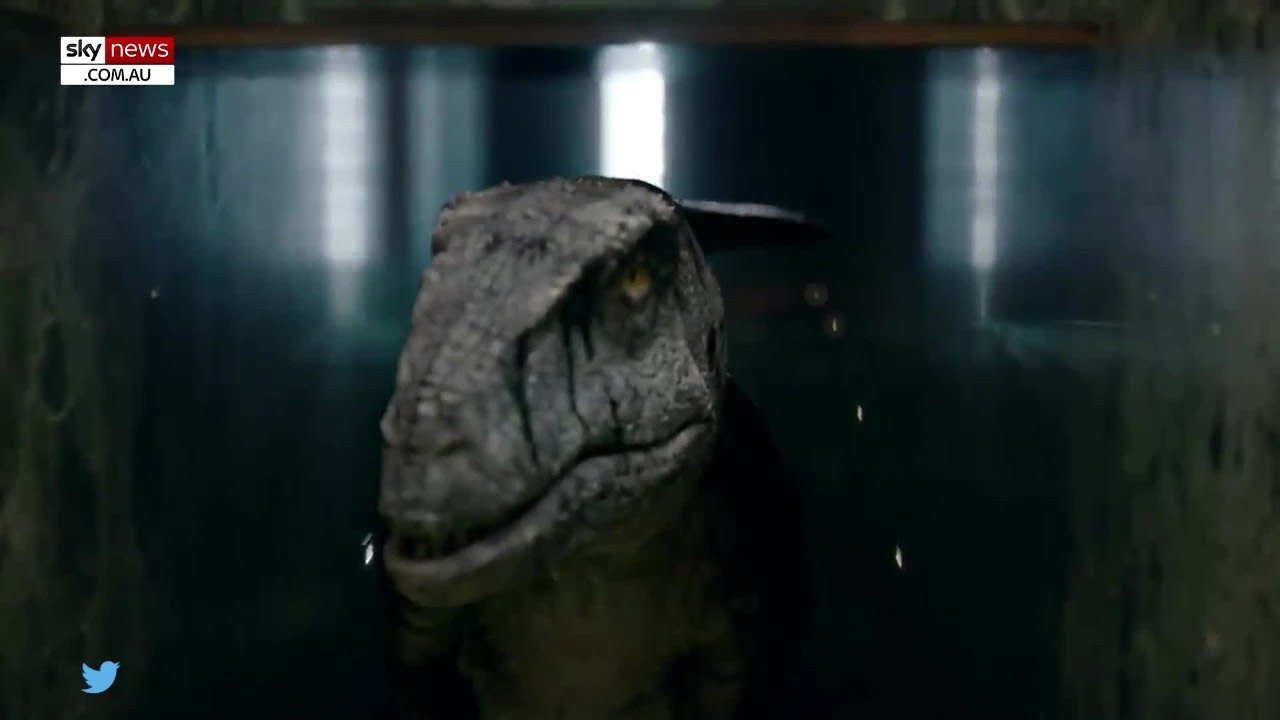 Το αλλόκοτο μήνυμα του ΟΗΕ με ένα δεινόσαυρο για την κλιματική αλλαγή: Άλλοι όμως βλέπουν ερπετοειδή…