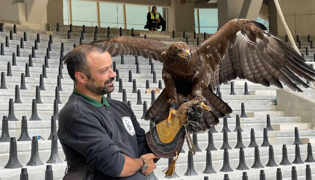 ΑΕΚ: Αυτός είναι ο αετός που θα πετά πάνω από το νέο γήπεδο (φωτο)