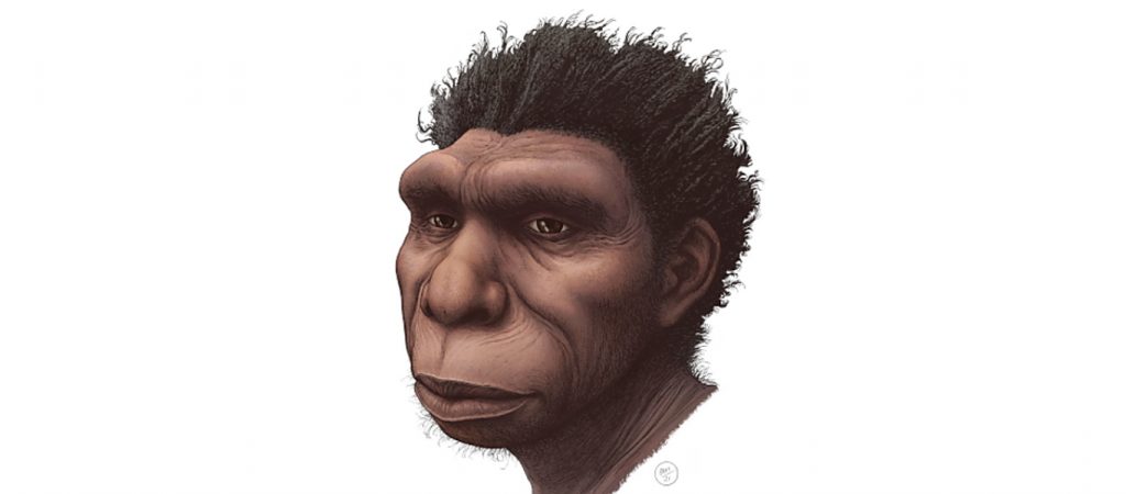 Homo bodoensis: Βρέθηκε νέος πρόγονος του ανθρώπου – Ζούσε στην Αφρική πριν 500.000 χρόνια