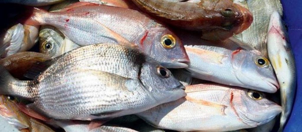 Προσοχή: Μην τρώτε ποτέ ψάρι αν παρατηρήσετε ότι έχει αυτό!