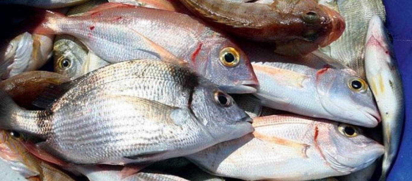 Προσοχή: Μην τρώτε ποτέ ψάρι αν παρατηρήσετε ότι έχει αυτό!