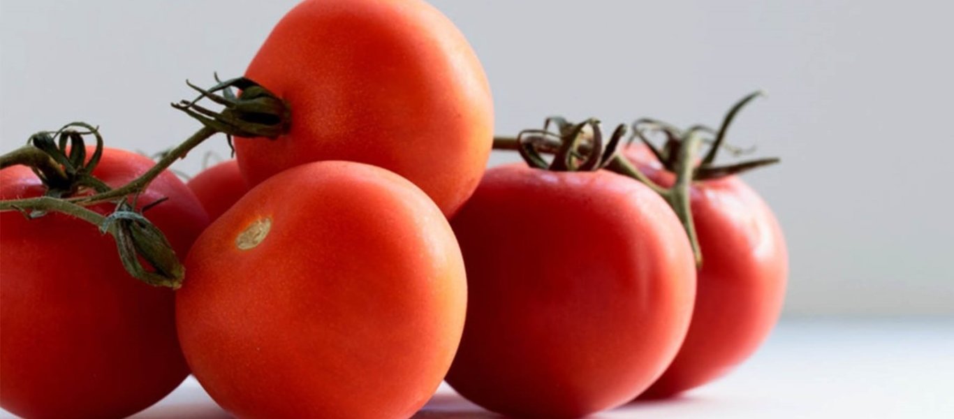 Να που πρέπει να αποθηκεύουμε τις ντομάτες για να είναι πιο νόστιμες