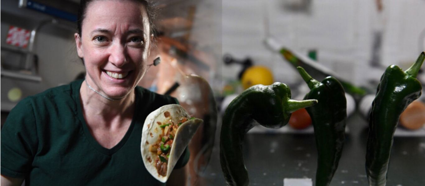 Αστροναύτες καλλιέργησαν τις πρώτες πιπεριές τσίλι στο διάστημα – Τις έφαγαν σε tacos (φωτο)