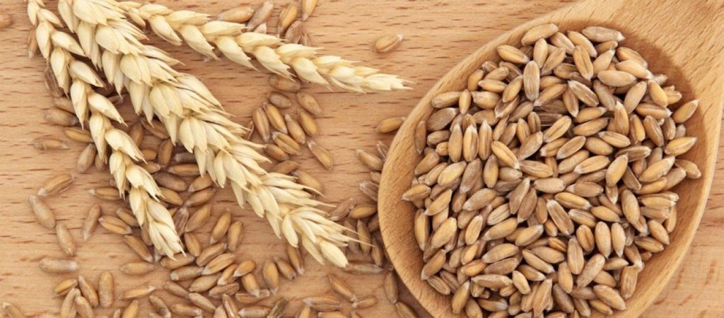 Αυτό το γνωρίζατε; – Γιατί οι αρχαίοι Έλληνες δεν έτρωγαν ποτέ σιτάρι;