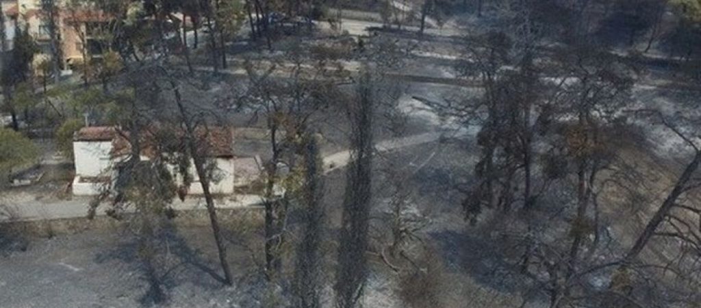 Χαρτογράφηση της ευφλεκτότητας της νεκρής δασικής καύσιμης ύλης στην Ελλάδα – Η νέα υπηρεσία του meteo (φωτο)