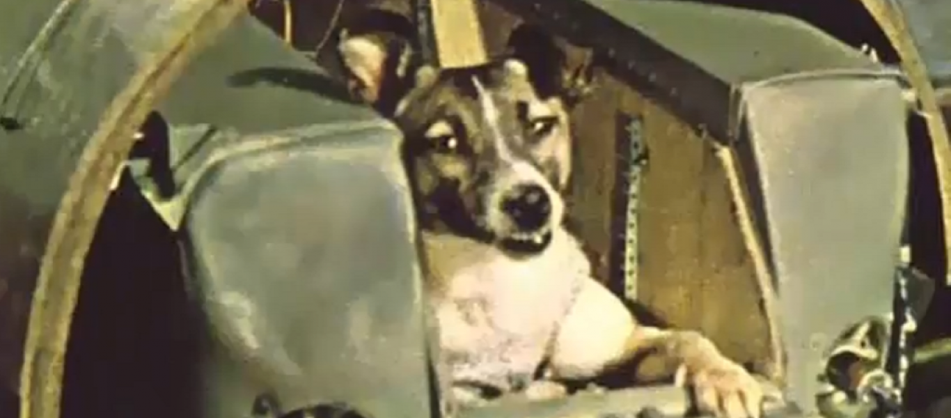 Εσείς ξέρατε ότι ταξίδεψαν και άλλα ζώα στο διάστημα εκτός από τη Λάικα; (βίντεο)