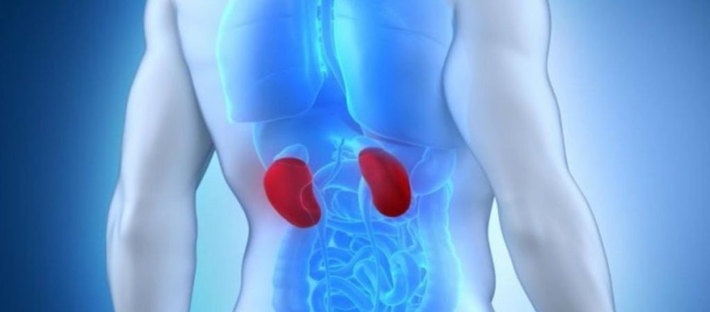 Καθαρισμός των νεφρών: Πώς γίνεται με διατροφή; – Ενδεικτικό πρόγραμμα 2 ημερών