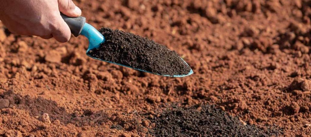 Αυτό το ήξερες; – Γιατί το χώμα είναι καφέ;