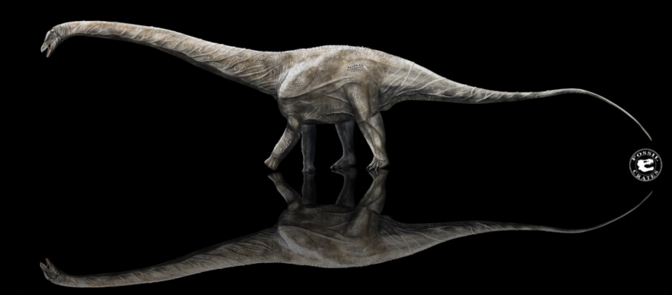 Ο υπέρσαυρος ήταν ο μεγαλύτερος δεινόσαυρος που υπήρξε ποτέ – Ο λαιμός του είχε μήκος 15 μέτρων (φώτο)