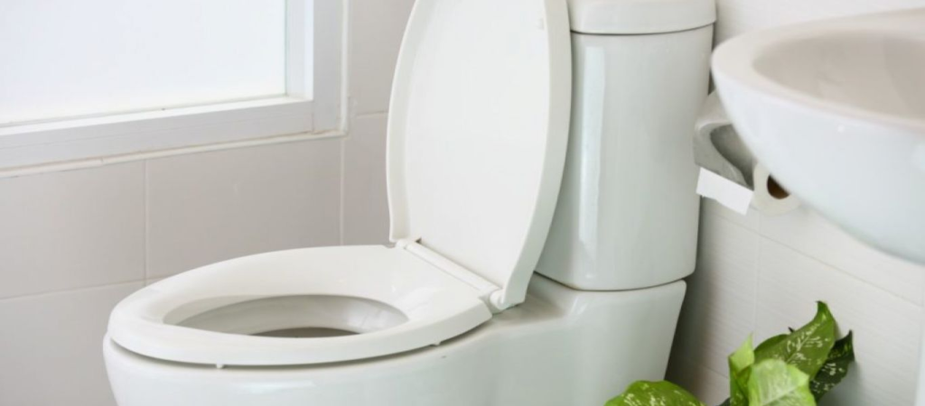 Έχετε αναρωτηθεί; – Τα πιο περίεργα πράγματα που ρίχνουν οι άνθρωποι στις τουαλέτες τους