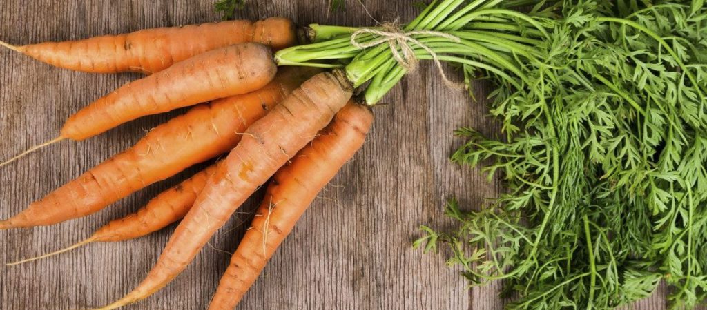 Καρότα: Ποιοι πρέπει να τα αποφεύγουν σύμφωνα με τους ειδικούς;