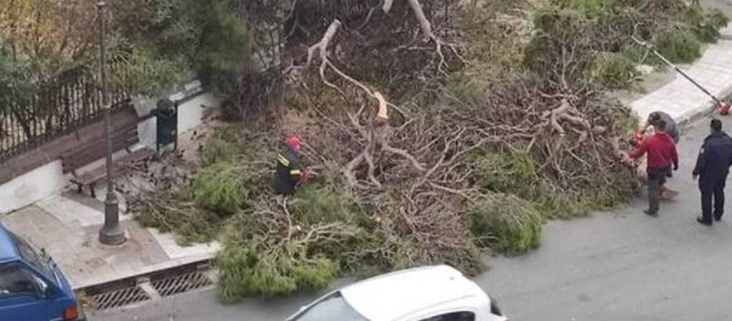 Μυτιλήνη: Δέντρο έπεσε ξυστά από παιδιά από τους ισχυρούς ανέμους