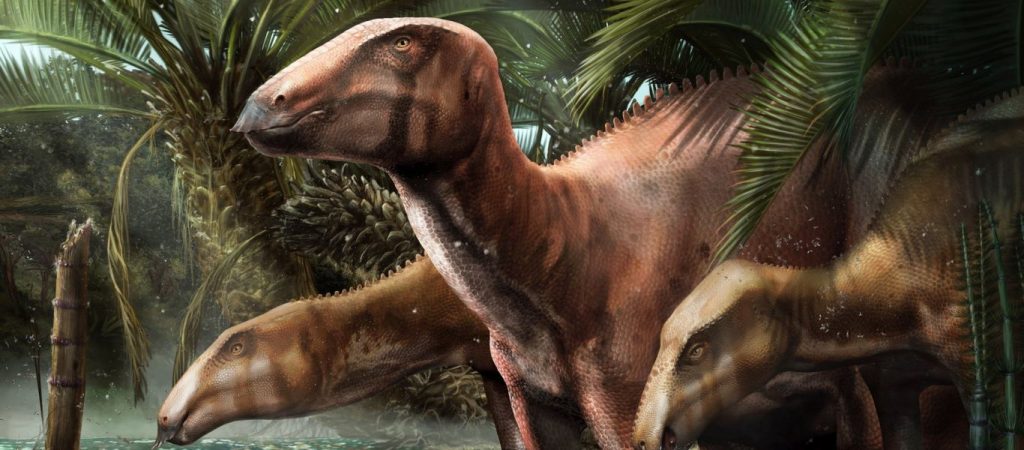 Ανακαλύφθηκε το μεγαλύτερο «νεκροταφείο» δεινοσαύρων στην Ιταλία (Φώτο)