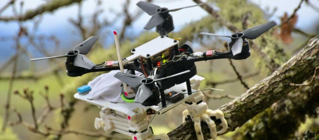 Μηχανικοί δημιούργησαν το πρώτο ρομπότ που μιμείται τις κινήσεις των πουλιών (βίντεο)