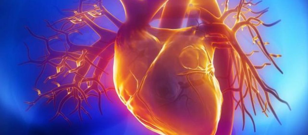 Αν πίνετε αυτό 1-2 φορές την ημέρα μειώνετε τα προβλήματα στην καρδιά