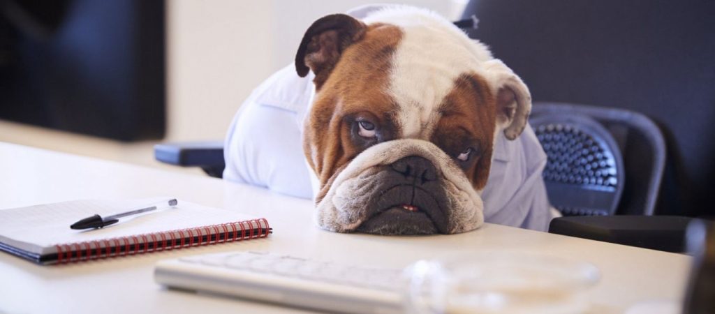 Αυτό το ήξερες; – Ποια ήταν η πιο βαρετή μέρα στην ιστορία της ανθρωπότητας;