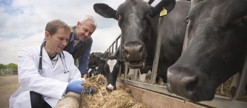 Γερμανία: Βάζουν κτηνίατρους να εμβολιάζουν ανθρώπους! – Μαζική «παραγωγή» – Χρησιμοποιούν όποιον βρουν