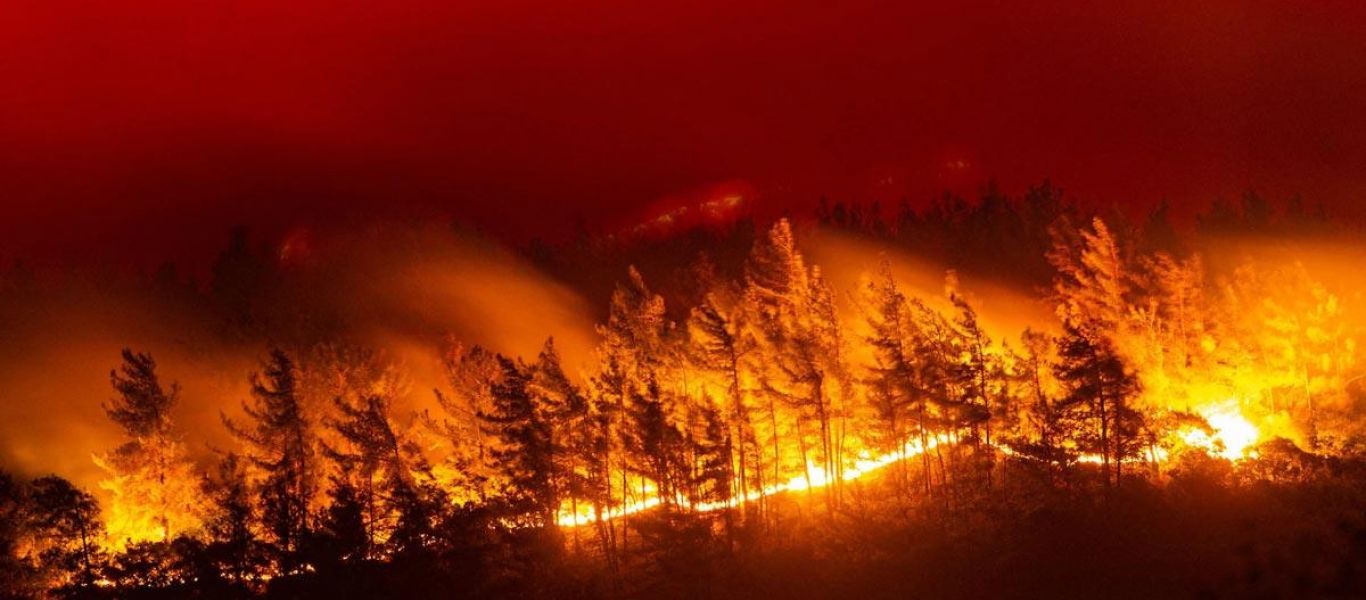 Κοπέρνικος: Ρεκόρ εκπομπών CO2 σε Σιβηρία,  ΗΠΑ και Τουρκία λόγω των πυρκαγιών