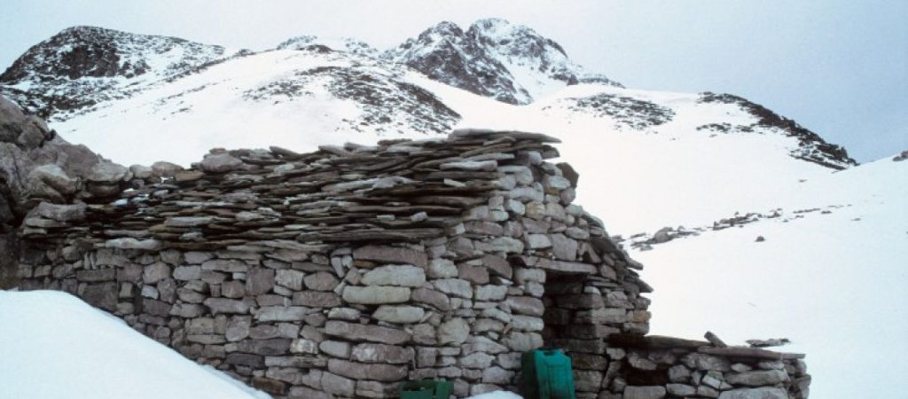 Άγραφα: Εθελοντές απεγκλώβισαν αγελάδες παγιδευμένες σε μεγάλο υψόμετρο