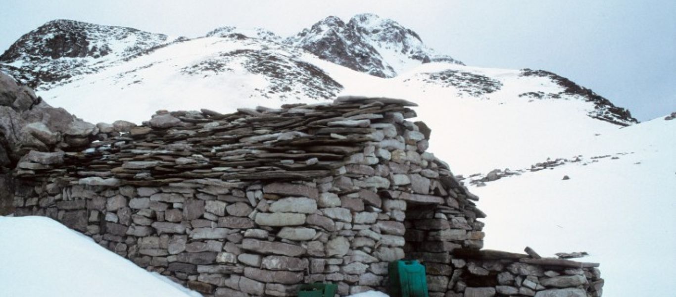 Άγραφα: Εθελοντές απεγκλώβισαν αγελάδες παγιδευμένες σε μεγάλο υψόμετρο