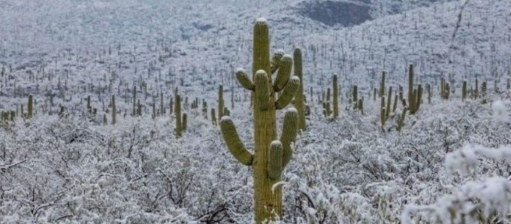 Όταν χιόνισε στην έρημο της Αριζόνα – Εντυπωσιακές εικόνες! (φωτο)