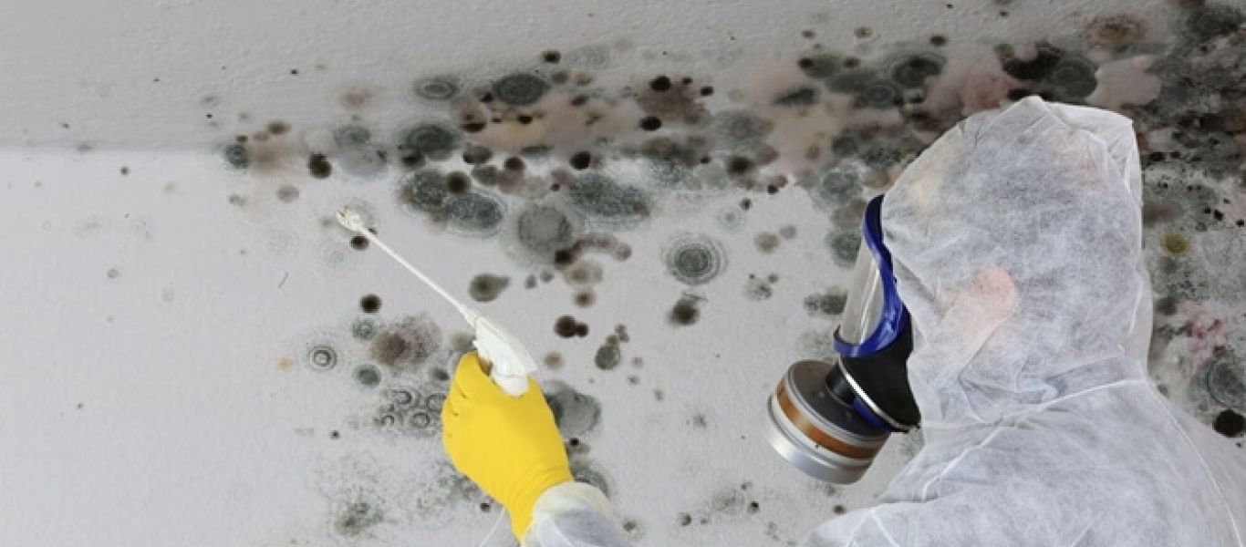 Μούχλα στους τοίχους: Τέσσερις εύκολοι τρόποι για να την εξαφανίσετε