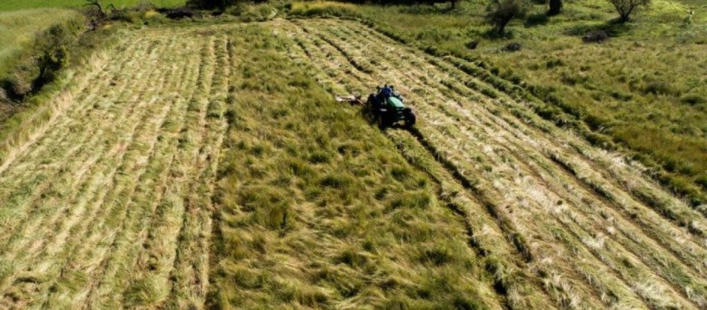 Αναζητούν δοκιμαστικούς αγρούς για νέες καλλιέργειες στην Πελοπόννησο