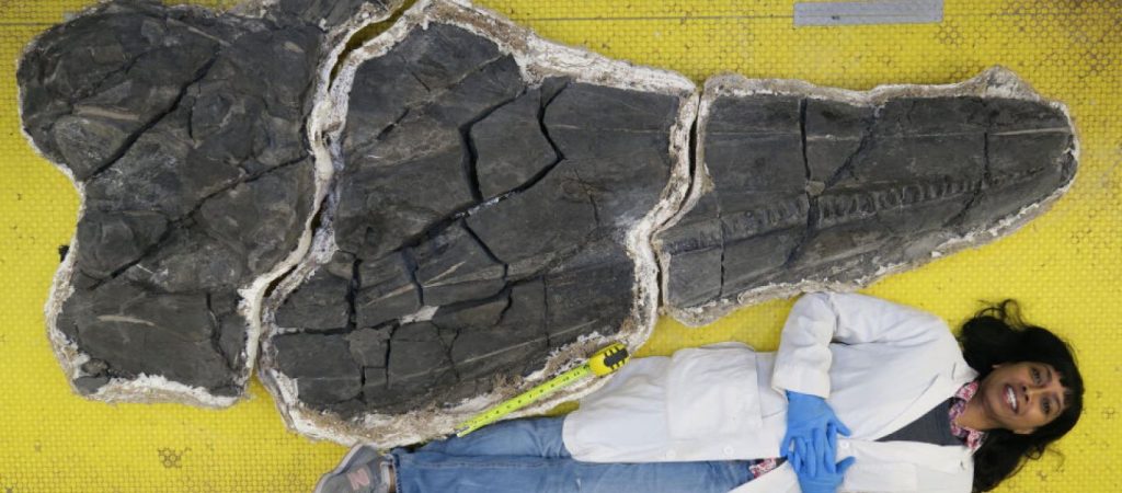 Παλαιοντολόγοι ανακάλυψαν «θαλάσσιο δράκο» με κρανίο μεγαλύτερο από του Τυραννόσαυρου