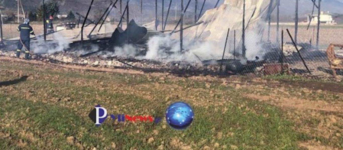 Μεγάλη καταστροφή από πυρκαγιά σε στάβλο στα Τρίκαλα – Κάηκαν δεκάδες ζώα