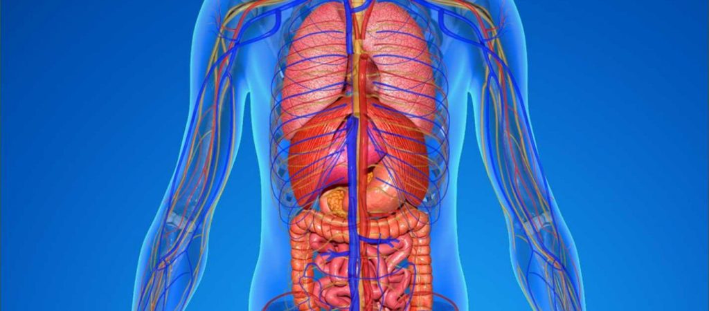 Εννιά πράγματα που δεν γνωρίζεις για το σώμα σου αλλά πρέπει να ξέρεις